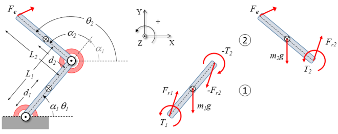 Double inverted pendulum