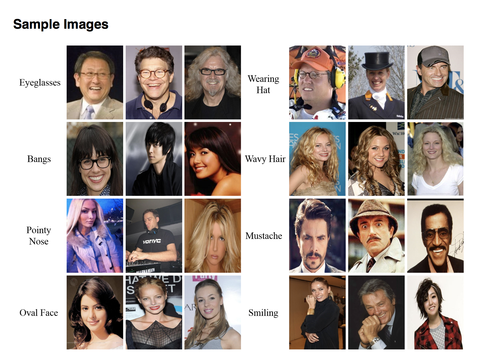Celebrity Dataset