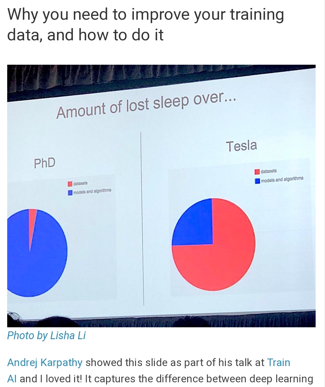 Andrej Karpathy (Director of AI at Tesla)