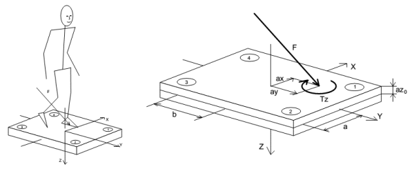 Kistler force plate and its coordinate system convention