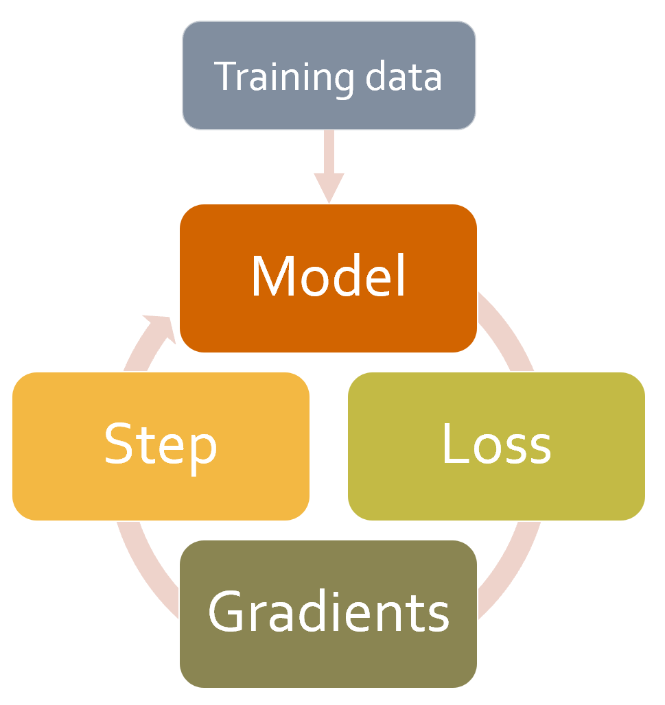 Basic training loop